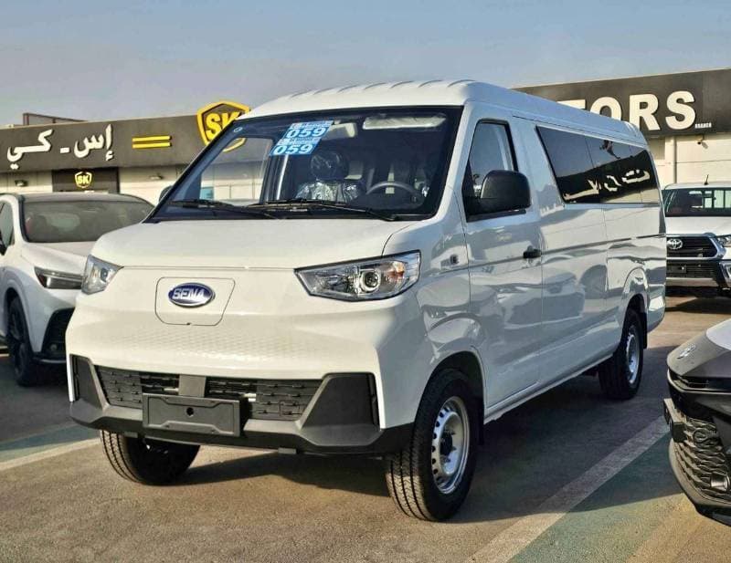 2025 Sinogold Sena Ev300