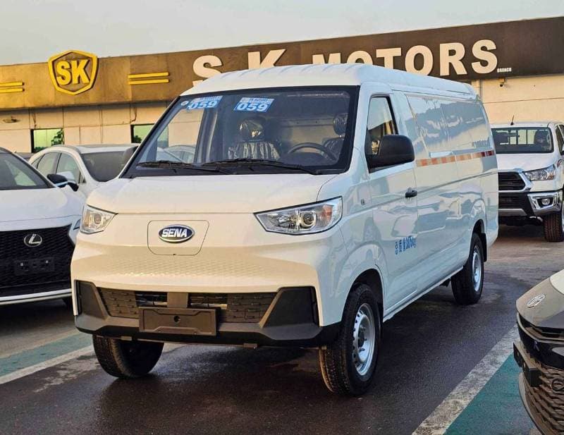 2025 Sinogold Sena Ev300 CARGO